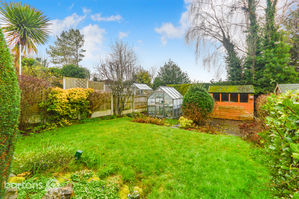 Photo 11- click for photo gallery